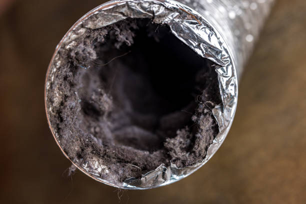 Best HVAC Duct Inspection Services  in Warrensburg, IL